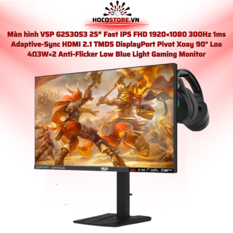 Màn hình VSP Gaming G2530S3 25 | HOCO STORE PC