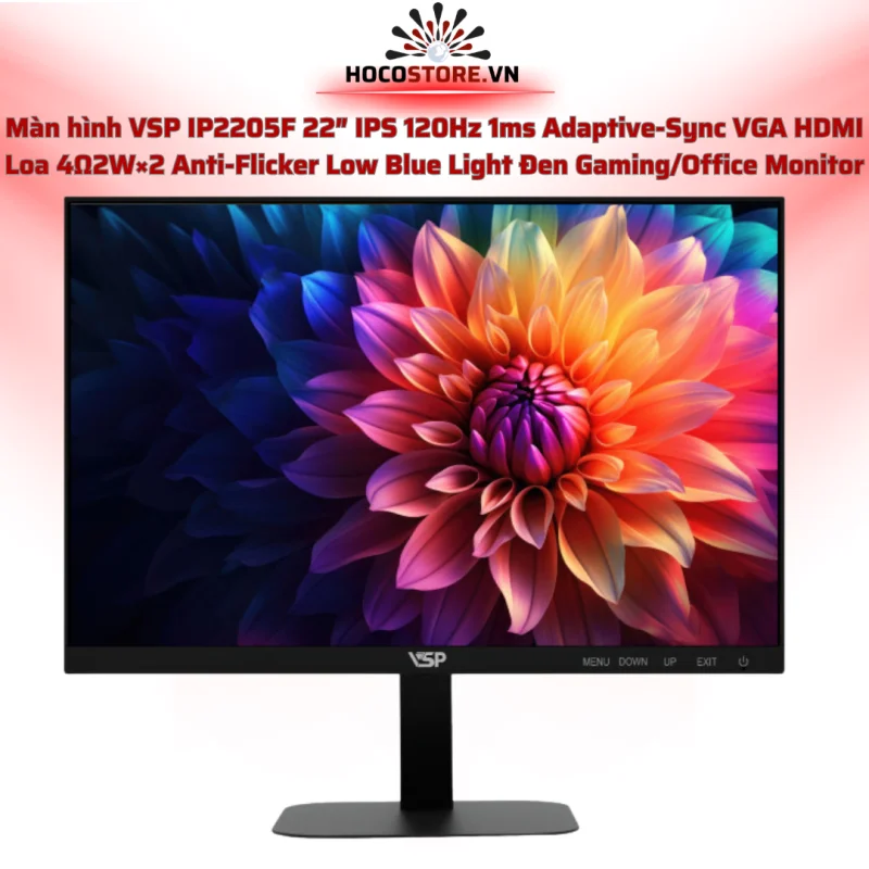 Màn Hình IP2205F 22 Inch IPS 120Hz 1ms Loa HDMI VGA | HOCO STORE PC