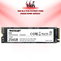 SSD Patriot P300 256GB M.2 NVMe Gen3x4 | HOCO STORE PC