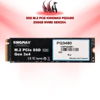  SSD Kingmax PQ3480 256GB M.2 NVMe Gen3x4 | HOCO STORE PC