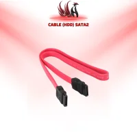 Cáp SATA 2 Kết Nối HDD SSD | HOCO STORE PC