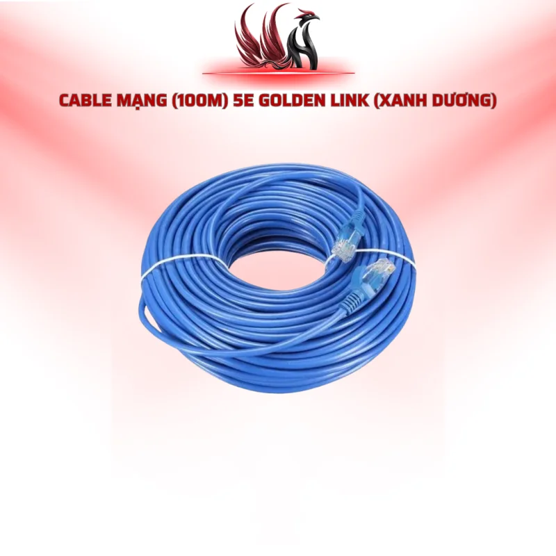 Cáp Mạng GOLDEN LINK CAT5E 100M Màu Xanh Dương | HOCO STORE PC