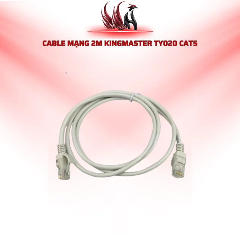 Cáp Mạng KINGMASTER TY020 2M CAT5E RJ45 Chính Hãng Cho PC, Router | HOCO STORE PC