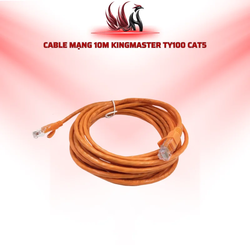 Cáp Mạng KINGMASTER TY100 10M CAT5E RJ45 Chính Hãng Cho PC, Router, Camera IP | HOCO STORE PC